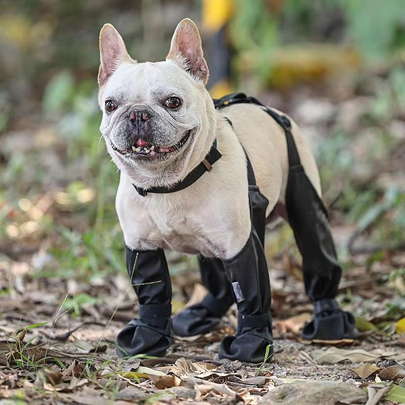 Waterproof Dog Boots 