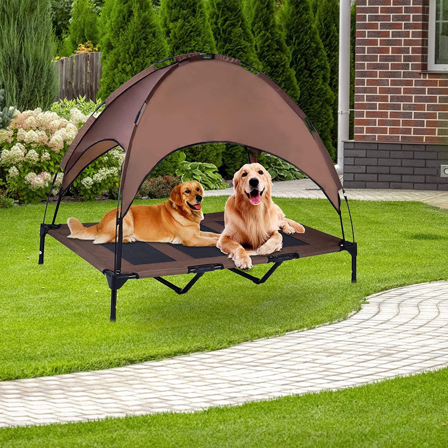 Elevated Pet Cot with Canopy