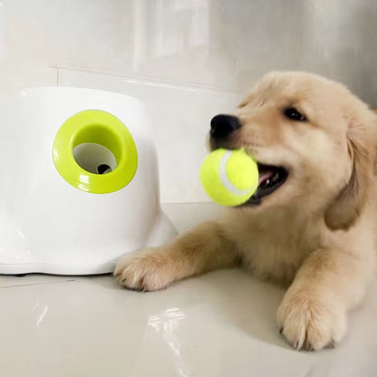  Dog Toy Tennis Ball Launcher 